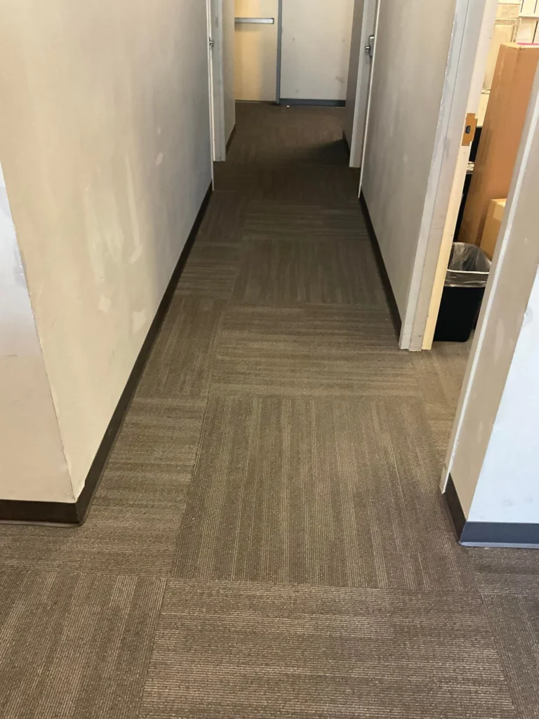 sunnyside floor cleaning company cleaning hallway carpets making it look new and fresh