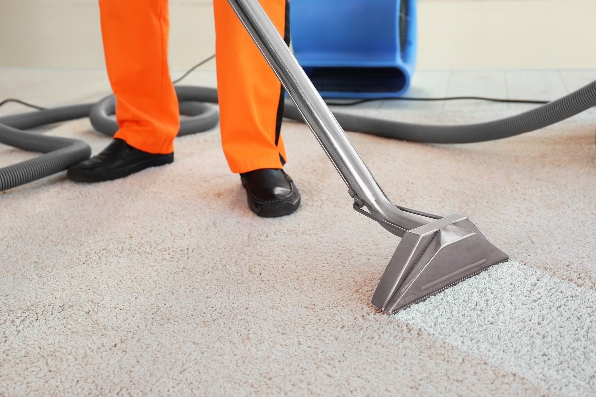 5 Signs Your Carpet Needs a Professional Cleaning — Not Just a Vacuum