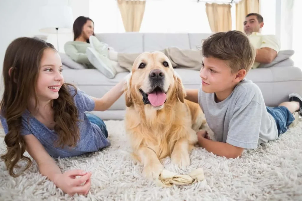 eco-friendly carpet cleaning Gilbert